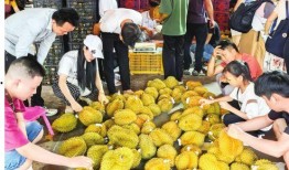 南宁水果爆料案件最新,揭秘背后惊人真相与法律较量